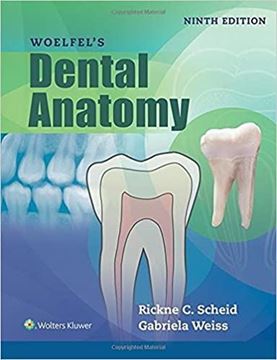 تصویر کتاب Woelfels Dental Anatomy 9th ed