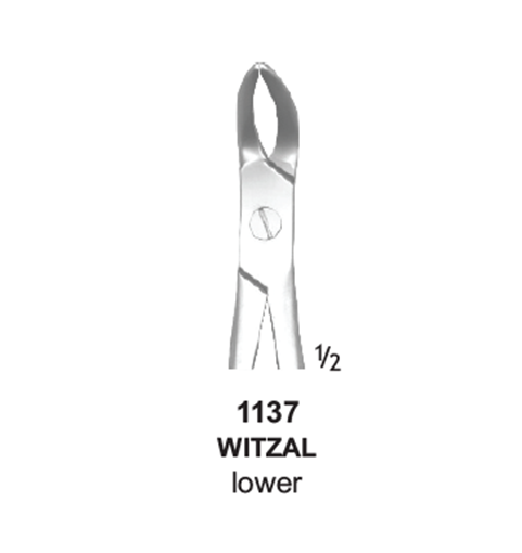 فورسپس ریشه کش پایین Wetzel 160mmجویا(1137) IRC:1622356493982142  LOT:1503