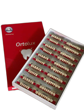 تصویر دندان مصنوعی 28 عددی اورتولوکس ORTOLUX