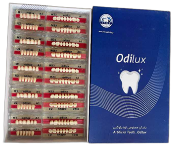 تصویر دندان مصنوعی 28عددی اودیلوکسODILUX A1/M23