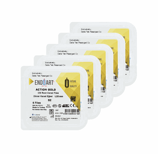 تصویر  فایل روتاری 6 عددی 19 میلی ENDOART