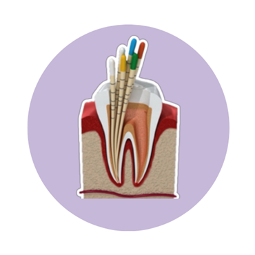 تصویر برای دسته  کن گوتا